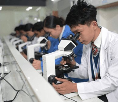 Pathology Labs