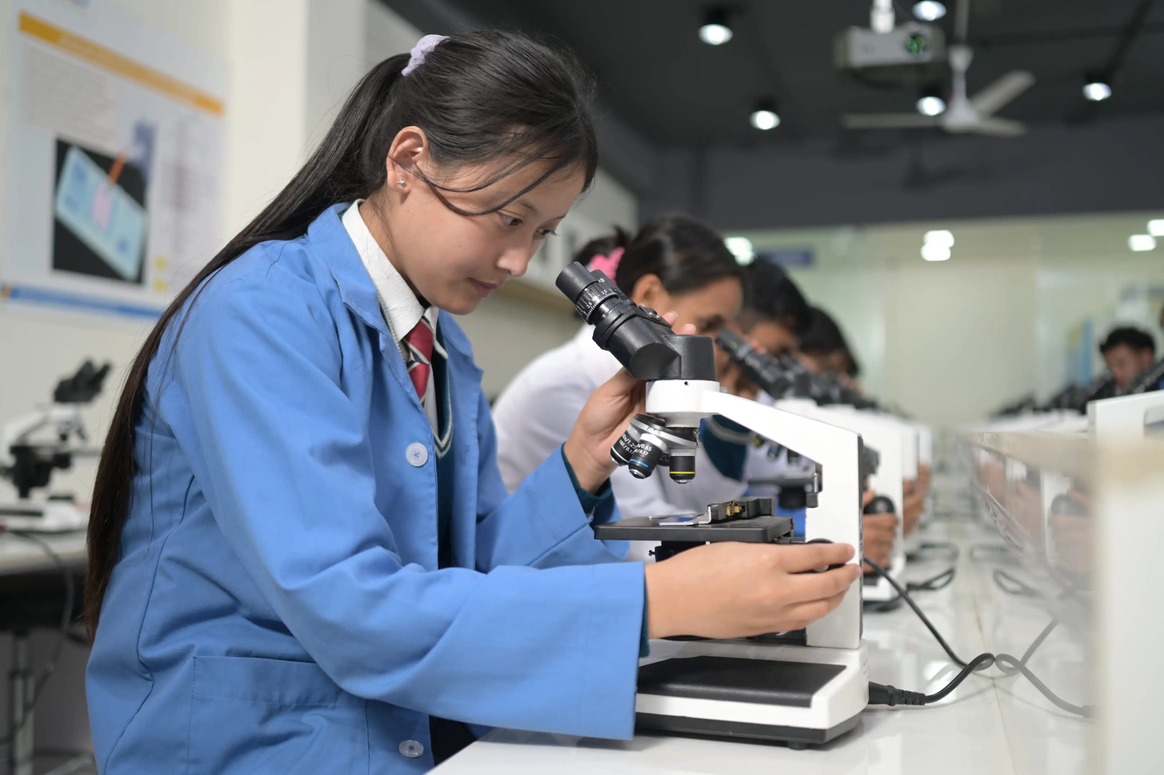 Career Pathways (Work Integrated Programs)