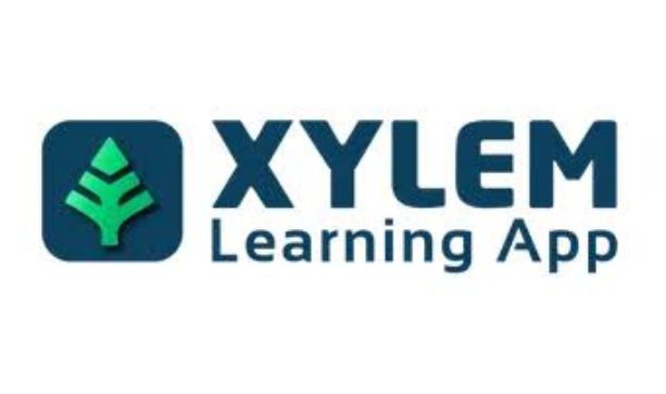 xylem